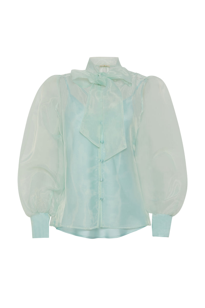 Long transparent sleeve solid color blouse with high neckline 
